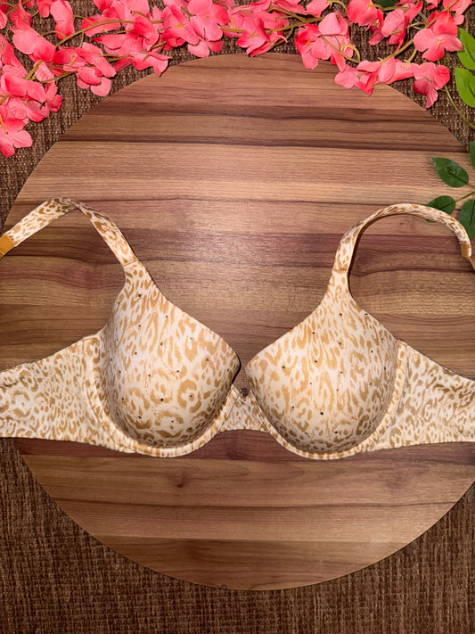 VS 36C