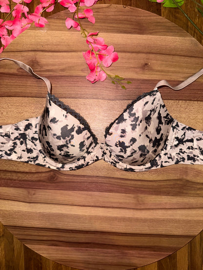 34B CK