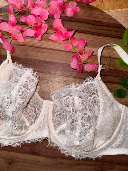 Vs 36DDD