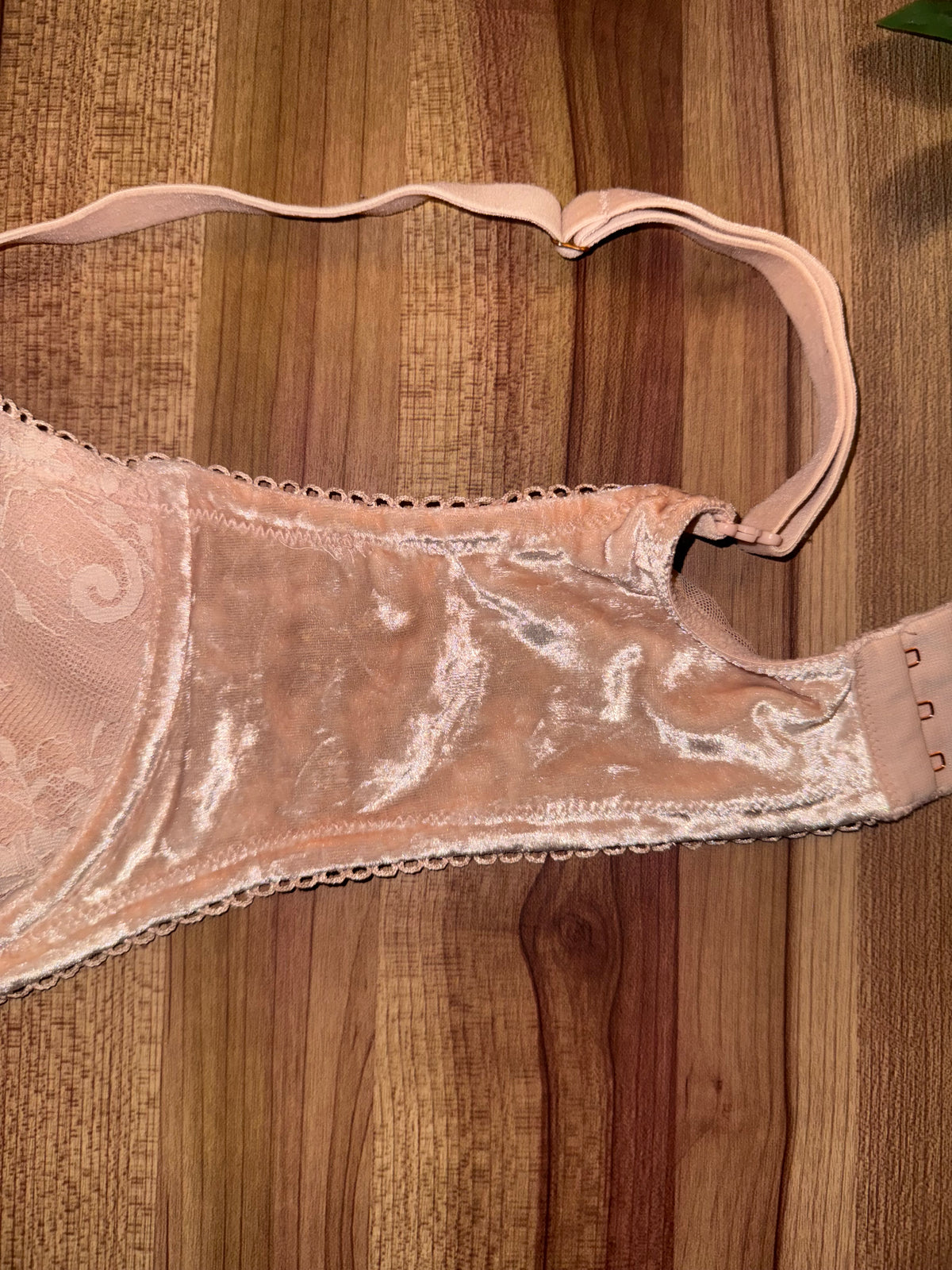VS 36DDD