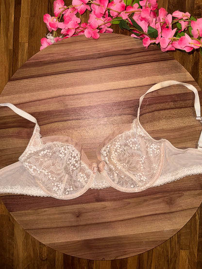 Vs underlined 32dd