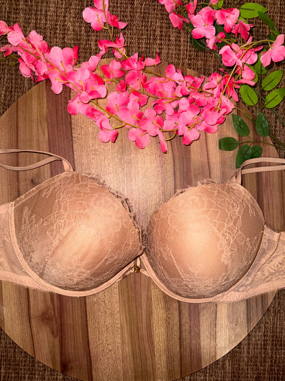 VS 36DDD tagged