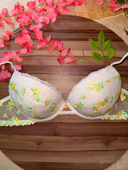 Lemon bra 38C
