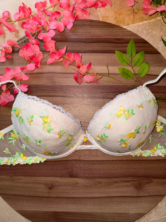 Lemon bra 38C