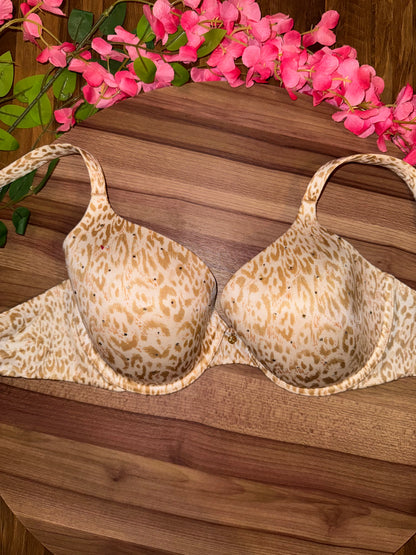 VS 36c