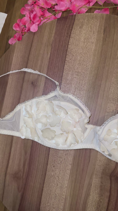 Fancy 36b